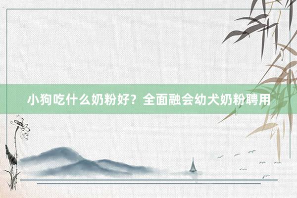 小狗吃什么奶粉好？全面融会幼犬奶粉聘用