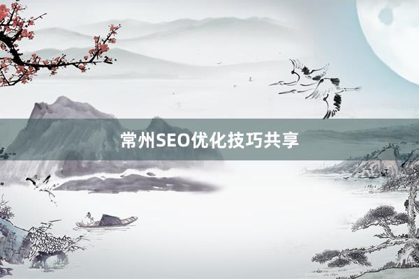 常州SEO优化技巧共享